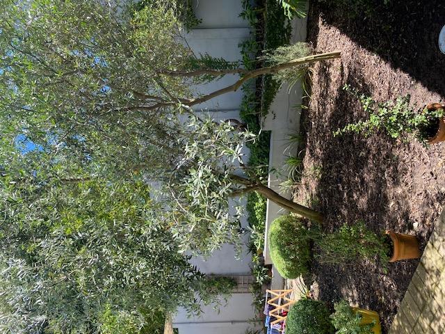 3 Bedroom Property for Sale in Bergsig Western Cape